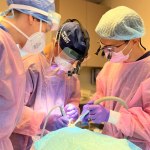 live surgery